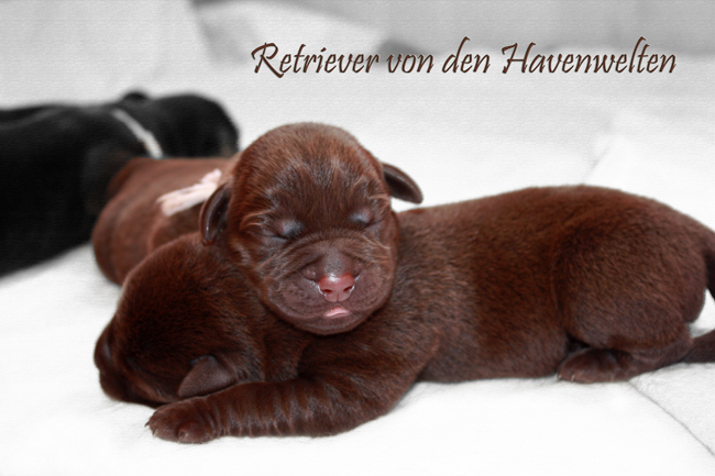13bearbFarbkorrektur_mittel